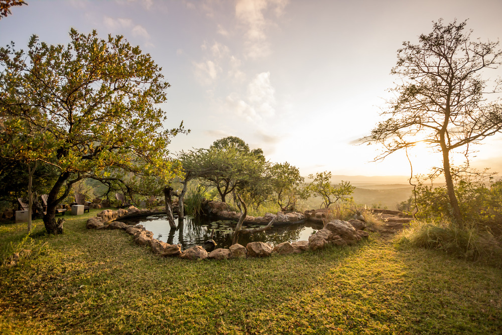 Leopard Mountain - Lodge South Africa