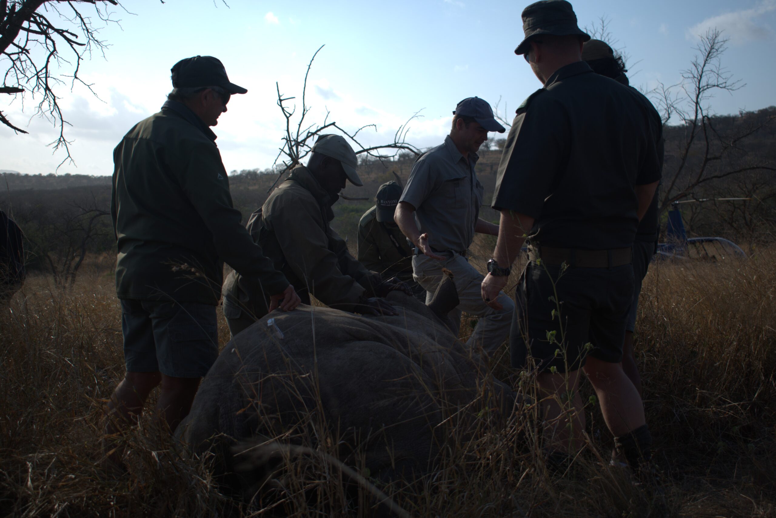 Rhino Conservation Safari South Africa