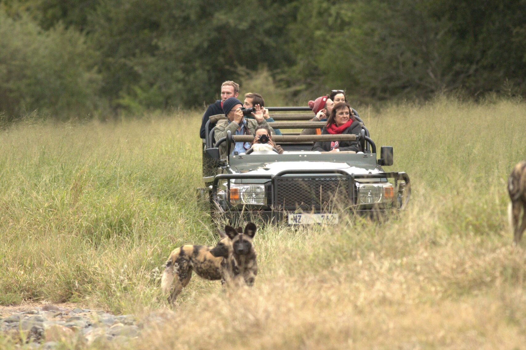 Luxury Road Transfers to Leopard Mountain Safari Lodge Effortless Travel in Style