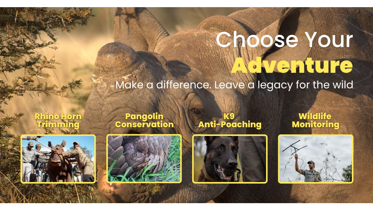 Best Conservation Safari in South Africa Where Your Safari Makes a Difference